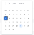 Datumsauswahl bei Dauer von einem Tag.png